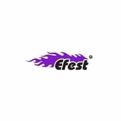 logo-categoria-efest
